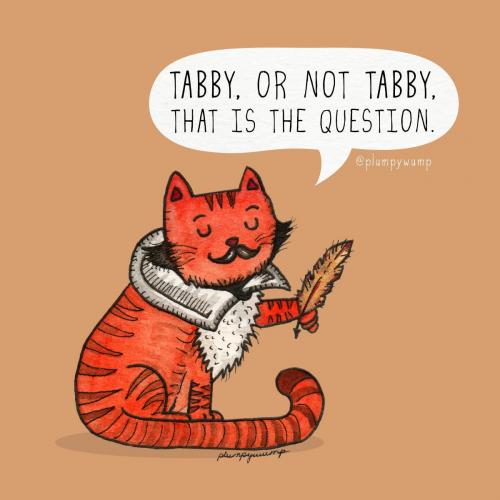 14Tabby-01
