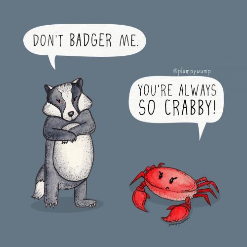 23Badger 01