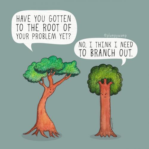 24Root 01