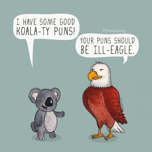 25Koala ty 01