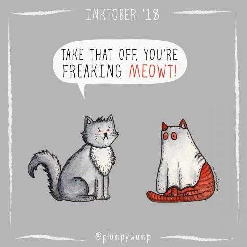 35Meowt 01