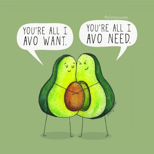 52Avo 01