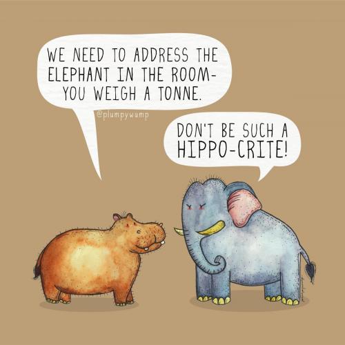 53Hippo 01