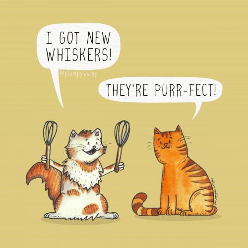 57Whiskers