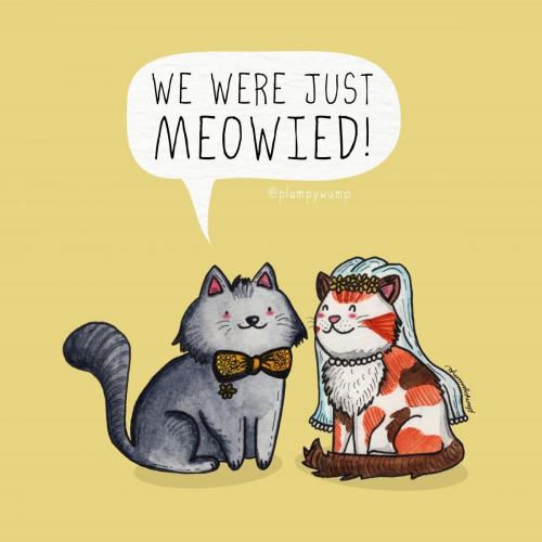 60JustMeowied 01