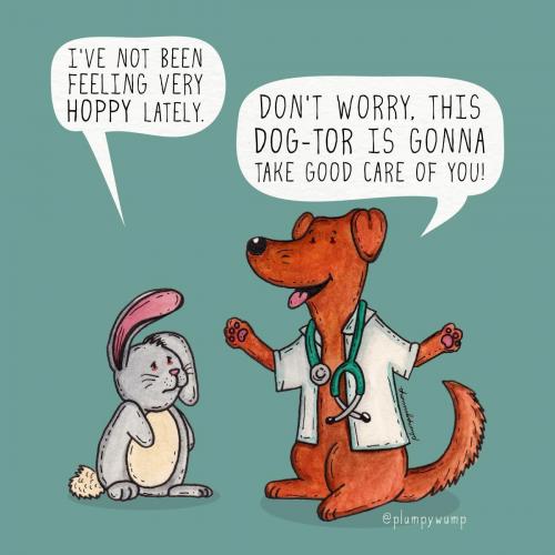 6dogtor-01