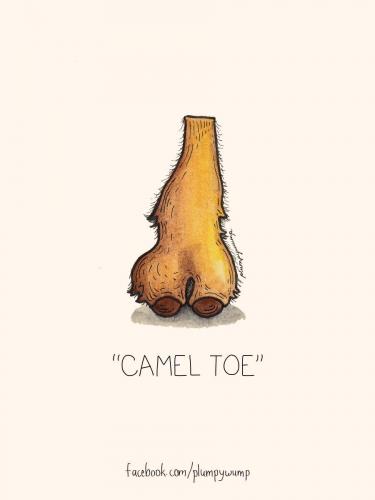 Camel Toe