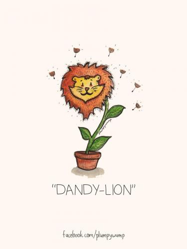 Dandy-lion