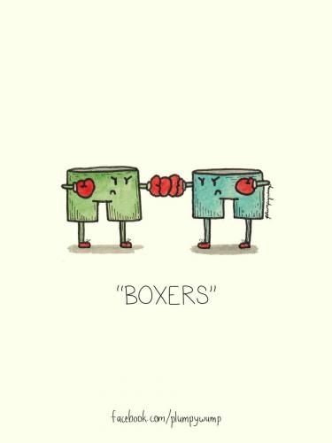 boxers