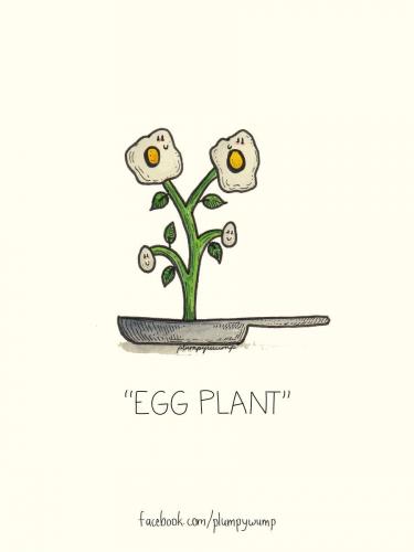 egg plant