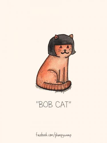 bob cat