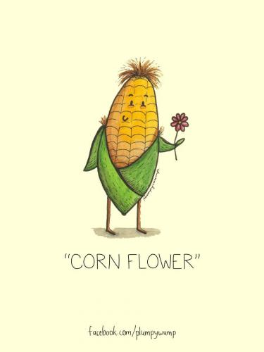 Corn Flower