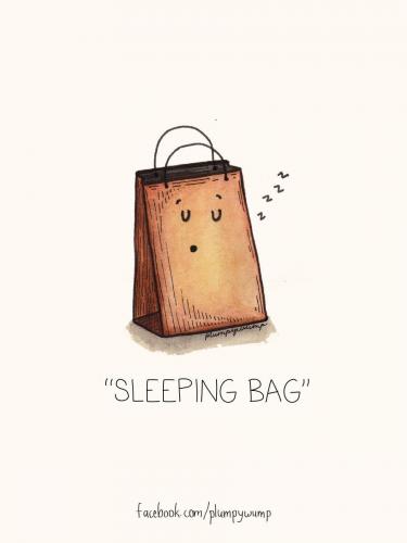 Sleeping Bag