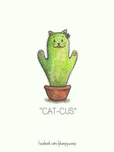 Cat-us